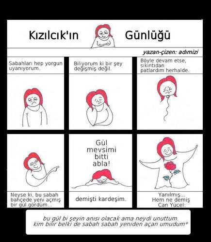 Cartoon: Kizilcik (medium) by adimizi tagged cizgi