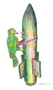 Cartoon: woodpecker (small) by charlly tagged woodpecker