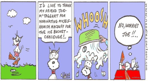 Cartoon: ice-bucket challenge!. (medium) by noodles cartoons tagged hamish,scotty,dog,scotland,ice,bucket,sport,scuba,diving
