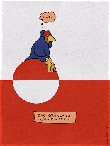 Cartoon: Ornithologie (medium) by hollers tagged trump,grönland,flagge,annexion,vogel,demokratie,drohung,vögel,tiere,trump,grönland,flagge,annexion,vogel,demokratie,drohung,vögel,tiere