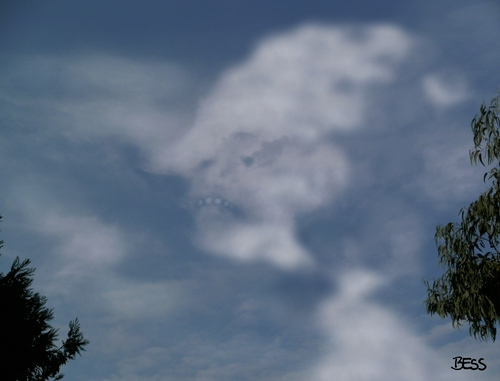 Cartoon: cloud face 22 (medium) by besscartoon tagged wolken,himmel,gesicht,kopf,cloud,face,bess,besscartoon