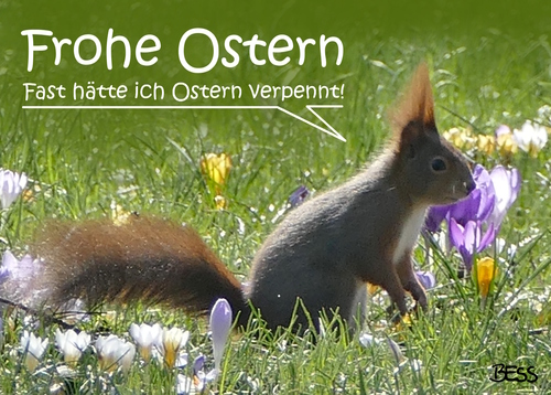 Cartoon: Frohe Ostern (medium) by besscartoon tagged kirche,religion,ostern,auferstehung,eichhörnchen,verpennt,pennen,bess,besscartoon