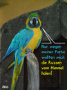 Cartoon: Falschfarbe (small) by besscartoon tagged ukraine,russland,konflikt,waffen,flugzeug,gewalt,gelb,blau,farbe,flagge,himmel,fahne,papagei,politik,hilfe,bess,besscartoon