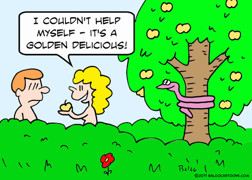 Cartoon: adam eve apple golden delicious (medium) by rmay tagged adam,eve,apple,golden,delicious