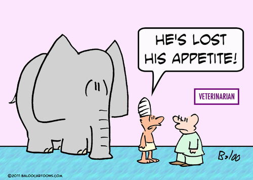 Cartoon: appetite elephant lost veterinar (medium) by rmay tagged appetite,elephant,lost,veterinar