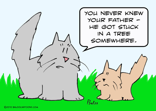 Cartoon: cat father stuck tree kitten (medium) by rmay tagged cat,father,stuck,tree,kitten