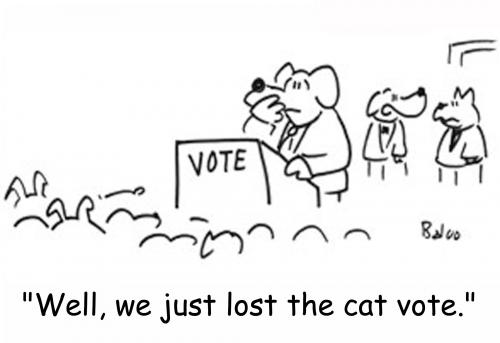 Cartoon: Lost the cat vote (medium) by rmay tagged cat,dog,vote,politics
