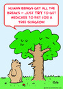 Cartoon: medicare pay tree surgeon (small) by rmay tagged medicare,pay,tree,surgeon