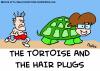 Cartoon: PALIN BIDEN TORTOISE HAIR PLUGS (small) by rmay tagged palin biden tortoise hair plugs